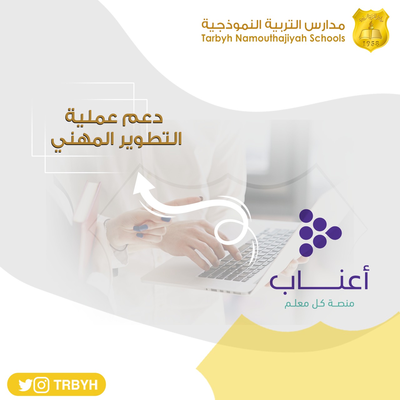 دعم عملية التطوير المهني 