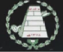 Saudi Arabian Institute of National Schools Saudi Arabian Institute of National Schools